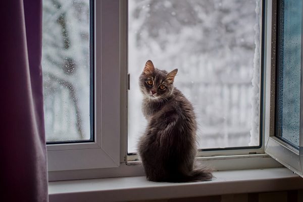 Ventilācija