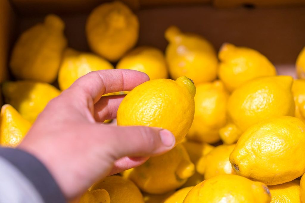 Pareiza citronu uzglabāšana – kāpēc tos nevajadzētu uzglabāt ledusskapī