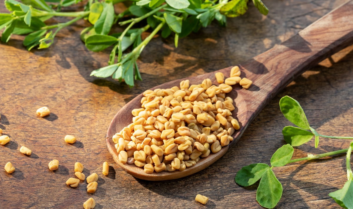 Fenugreek