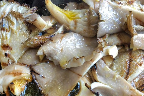 Šīs sēnes var droši ēst gaļas vietā. Tie ir veselīgāki un garšīgāki nekā sēnes
