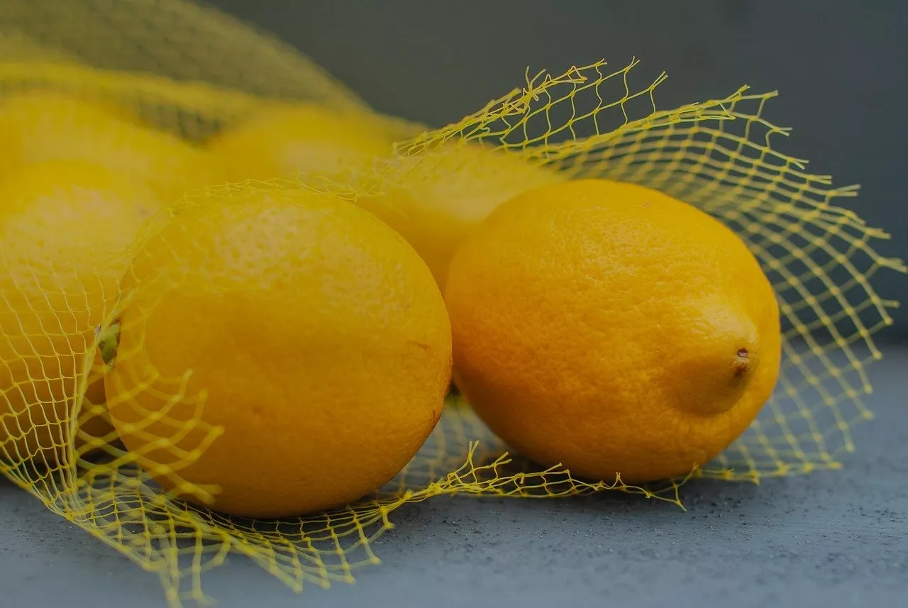 Ne folija, ne plēve: labākais veids, kā uzglabāt citrons un novērst to pūšanu